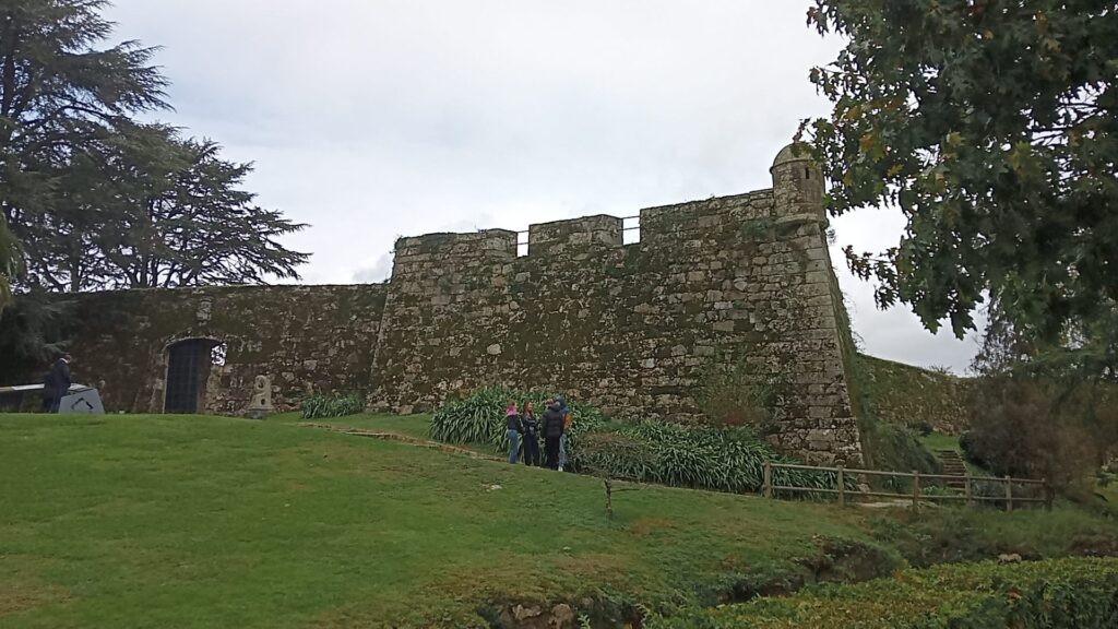 visitar galicia - monte del castro